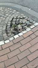 Bild zu gemeldetem Anliegen vom *2025-03-19 15:27:34