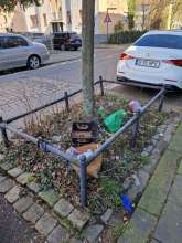 Bild zu gemeldetem Anliegen vom *2025-03-07 12:40:09