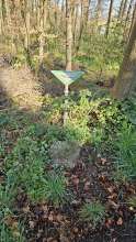 Bild zu gemeldetem Anliegen vom *2025-03-24 09:57:51
