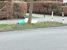 Bild zu gemeldetem Anliegen vom *2025-03-25 07:07:29