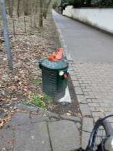 Bild zu gemeldetem Anliegen vom *2025-03-25 07:04:38