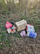Bild zu gemeldetem Anliegen vom *2025-03-28 15:33:53