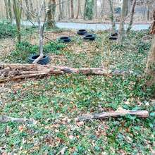 Bild zu gemeldetem Anliegen vom *2025-03-15 15:46:46