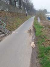 Bild zu gemeldetem Anliegen vom *2025-03-25 09:36:34
