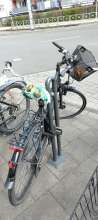 Bild zu gemeldetem Anliegen vom *2025-03-29 12:16:03