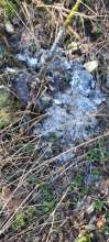 Bild zu gemeldetem Anliegen vom *2025-03-03 15:31:47