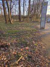 Bild zu gemeldetem Anliegen vom *2025-03-24 18:39:54