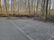 Bild zu gemeldetem Anliegen vom *2025-03-24 15:32:11