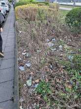 Zwischen Werft und Siegburger Strasse vom *2025-03-24 06:31:28