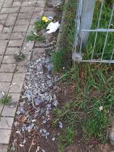 Glassplitter am Zaun neben dem Kinderspielplatz KrebelspfadBild zu gemeldetem Anliegen vom *2025-03-25 15:29:10