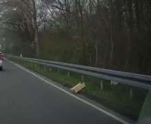 Bild zu gemeldetem Anliegen vom *2025-03-28 06:32:08