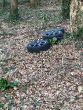 Bild zu gemeldetem Anliegen vom *2025-03-07 19:50:27