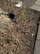 Bild zu gemeldetem Anliegen vom *2025-03-03 11:32:27