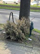 Bild zu gemeldetem Anliegen vom *2025-03-08 15:05:57
