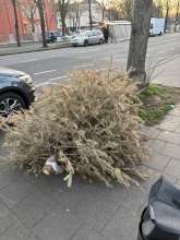 Bild zu gemeldetem Anliegen vom *2025-03-08 06:34:40