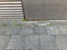 Bild zu gemeldetem Anliegen vom *2025-03-28 09:30:01