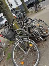 Bild zu gemeldetem Anliegen vom *2025-03-19 12:14:12