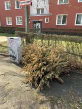 Bild zu gemeldetem Anliegen vom *2025-03-08 15:30:18