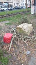 Bild zu gemeldetem Anliegen vom *2025-03-25 15:29:10