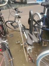 Bild zu gemeldetem Anliegen vom *2025-03-26 13:08:22