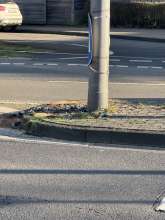 Bild zu gemeldetem Anliegen vom *2025-03-04 15:30:03