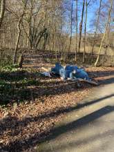 Bild zu gemeldetem Anliegen vom 06.03.2025*2025-03-06 09:35:56