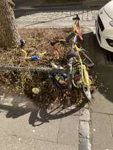 Bild zu gemeldetem Anliegen vom *2025-03-17 15:52:27