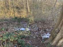 Bild zu gemeldetem Anliegen vom *2025-03-18 06:34:23
