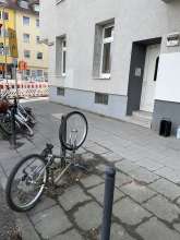 Bild zu gemeldetem Anliegen vom *2025-03-25 15:29:10