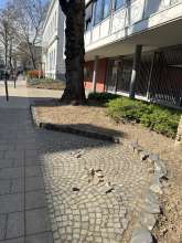 Bild zu gemeldetem Anliegen vom *2025-03-24 12:59:20