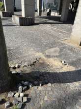 Bild zu gemeldetem Anliegen vom *2025-03-24 13:09:30