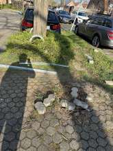 Bild zu gemeldetem Anliegen vom *2025-03-27 12:31:22