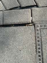 Gehsteigverlegung nach Glasfaserverlegung ohne Verfugung mit Stolperkanten