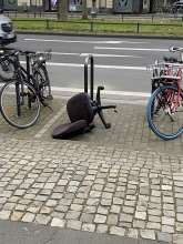 Bild zu gemeldetem Anliegen vom *2025-03-31 06:33:04