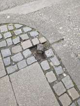 Bild zu gemeldetem Anliegen vom *2025-03-24 10:02:43