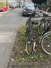 Bild zu gemeldetem Anliegen vom *2025-03-24 14:55:28