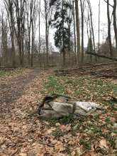 Bild zu gemeldetem Anliegen vom *2025-03-25 06:27:36