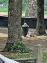Bild zu gemeldetem Anliegen vom *2025-04-24 09:28:33