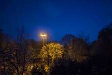Bild zu gemeldetem Anliegen vom *2025-04-09 03:27:47