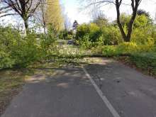 Bild zu gemeldetem Anliegen vom *2025-04-03 09:28:14