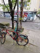 Bild zu gemeldetem Anliegen vom *2025-04-14 06:33:43