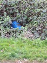 Bild zu gemeldetem Anliegen vom *2025-04-14 09:28:17