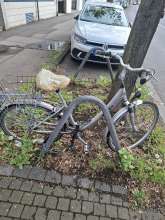Bild zu gemeldetem Anliegen vom *2025-04-19 06:34:18