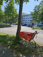 Bild zu gemeldetem Anliegen vom *2025-04-30 15:45:48