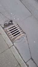 Bild zu gemeldetem Anliegen vom *2025-04-01 09:31:58
