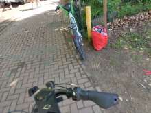 Bild zu gemeldetem Anliegen vom *2025-04-28 12:47:40