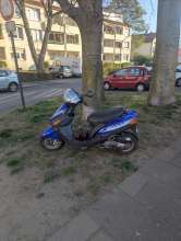 Bild zu gemeldetem Anliegen vom *2025-04-03 06:29:00