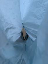 Bild zu gemeldetem Anliegen vom *2025-04-20 12:29:03