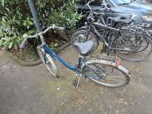 Bild zu gemeldetem Anliegen vom *2025-04-14 15:31:15
