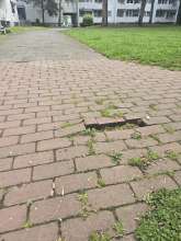 Bild zu gemeldetem Anliegen vom *2025-04-25 10:17:00